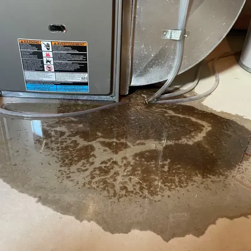 Appliance Leak Cleanup in Johnson County, WY